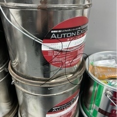 引き取り可能な方の画像