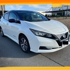 ●個人出品！リーフe+X 60kWh400km走行可能！●