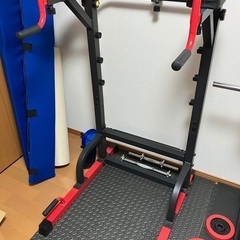 【美品・値下げ相談可】BARWING(バーウィング) ぶら下がり健康器の画像