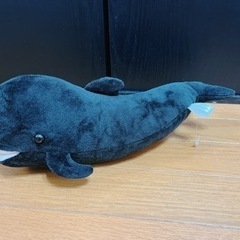 海ノ中道🌊マリンワールド🐬🫧‪ゆきちゃん♥️