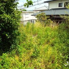 【格安・雑草対策】ご自宅のお庭など 雑草に安全な除草剤を散布します！