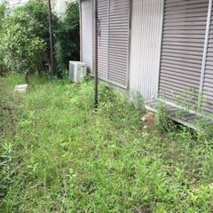 【格安・雑草対策】ご自宅のお庭など 雑草に安全な除草剤を散布します！ - 唐津市