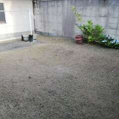【格安・雑草対策】ご自宅のお庭など 雑草に安全な除草剤を散布します！ - その他