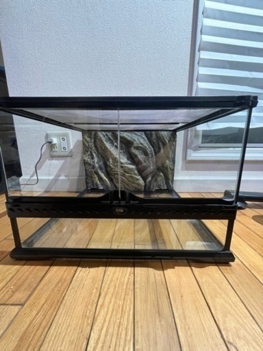 グラステラリウム　4530