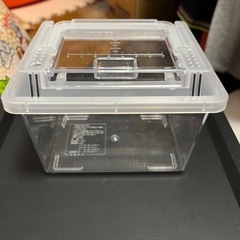 ハムスターの持ち運びケースとふわふわベット🐹