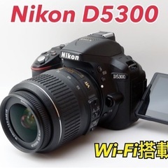 ★Nikon D5300★Wi-Fi搭載●初心者向け●カメラケース付き●   1ヶ月動作補償あり！ 安心のゆうパック代引き発送！ 送料、代引き手数料無料！