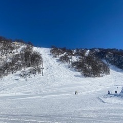 高崎の飲み友募集！気軽にメッセージください！ − 群馬県