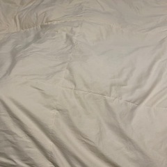 クイーンサイズ 羽毛布団の画像