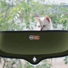猫用ベッド
