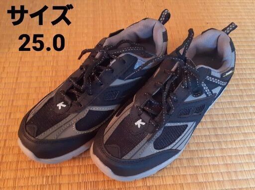 スニーカー サイズ25cm 2000円