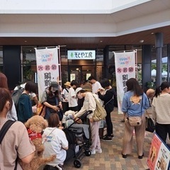'Amo わん FESTA 4th 出店者募集！ - イベント