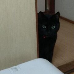 【終活】遺言・相続無料セミナーを開催します　2/28（水）13時...