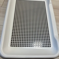 犬用　トイレトレー