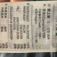 NIKE　ナイキ　リバーシブルダウン　Lサイズの画像