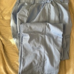瑞穂農芸高校　食品科　実験着等一式の画像
