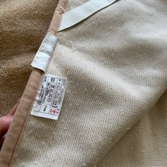 冬用 モコモコ 式パッド シングル 2枚組の画像