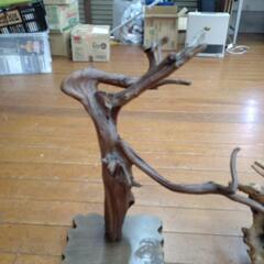 流木　2個の画像