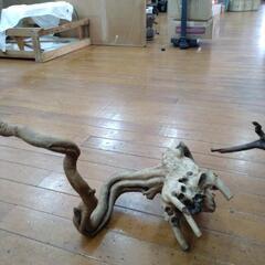 流木　2個の画像