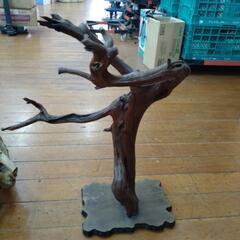 流木　2個の画像