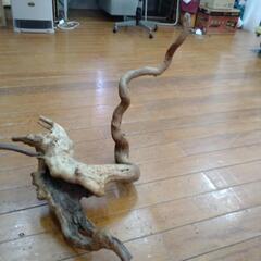流木　2個の画像