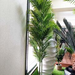 ⑥【処分価格】新品 アレカヤシ(１７０ｃｍ)　人工観葉植物 フェ...