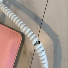ゆかペットの画像