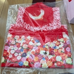 【新品】東玉 被布着飾り ひな祭りの画像