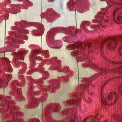 シースルーマフラーの画像