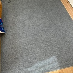 ホットカーペットとラグ