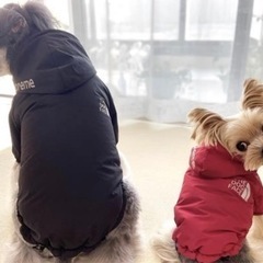 【新品未使用】犬 服 犬の服 【黒s/2xl/3xl】【赤🟥s/2xl/3xl】パーカー ペットウェア 小型犬 服ペット服 秋冬 ドッグウェア 防寒着 防水 防風 の画像