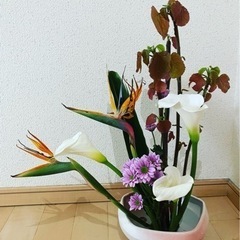 あなたでも生けれる生け花の画像
