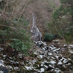 一緒に山登りしませんか？