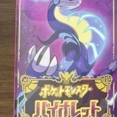 ポケモンsv バイオレット　動作確認済