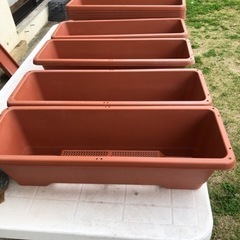 プラスチックプランター
