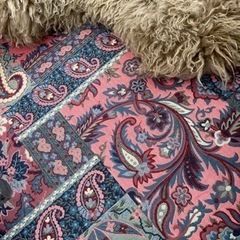 スペイン産　ラグ、ベッドカバー、マルチカバー、マットにの画像