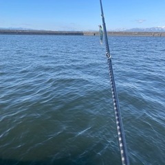 バス釣り仲間募集