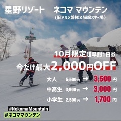 ネコママウンテンスキー場　超早割　リフト券