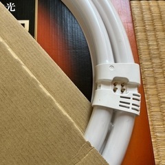 電球  100形の画像