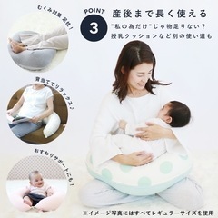 サンデシカ　授乳クッションの画像