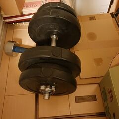 ２０kgダンベル
