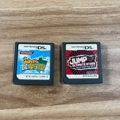 3DSカセット　　箱無し