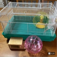ハムスターなど小動物に*.+ﾟケージ他セット