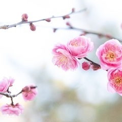 季節を感じフォトウォーク