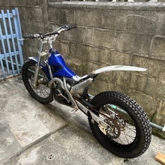 スコルパ | Scorpa SY250 | SY 250 トライアル