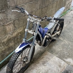 スコルパ | Scorpa SY250 | SY 250 トライアルの画像