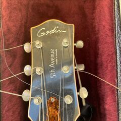 Godin 5Avenue Kingpin の画像