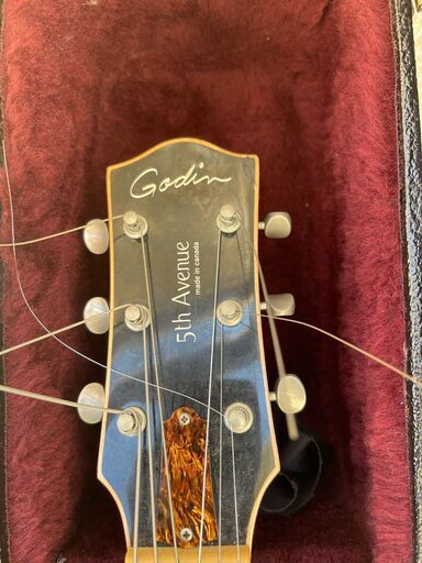 楽器 Godin 5Avenue Kingpin