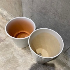 花器、植木鉢の画像
