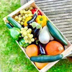 ★募集★お野菜の配送業務の画像