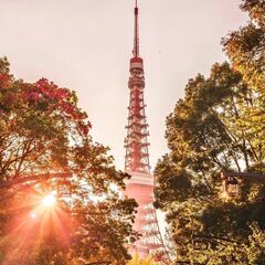 ★募集★お野菜の配送業務の画像